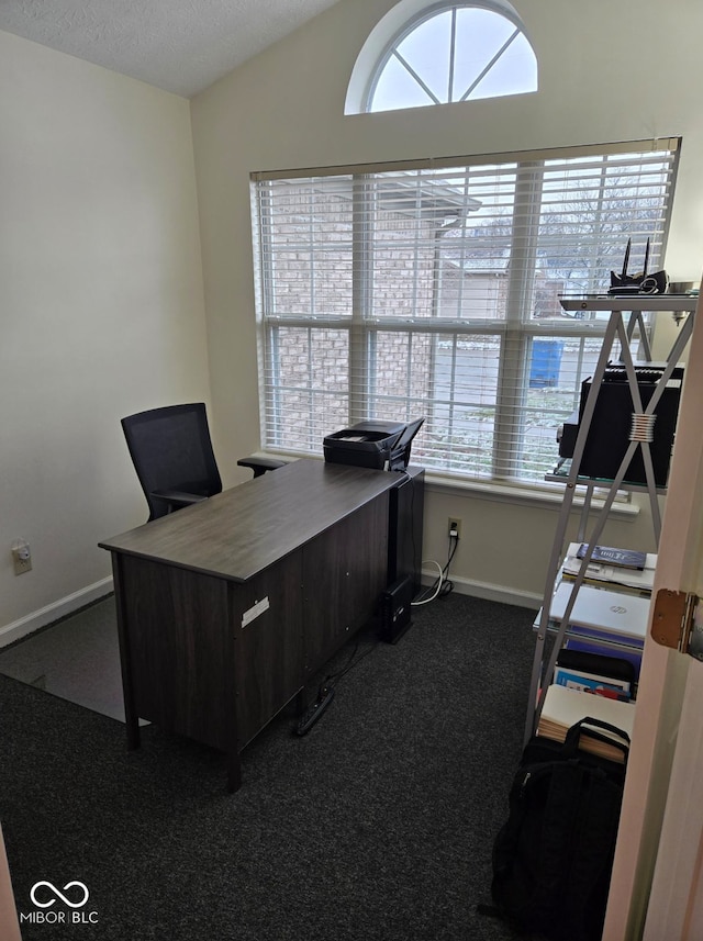 office with carpet floors and vaulted ceiling