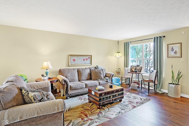 living room with dark hardwood / wood-style floors