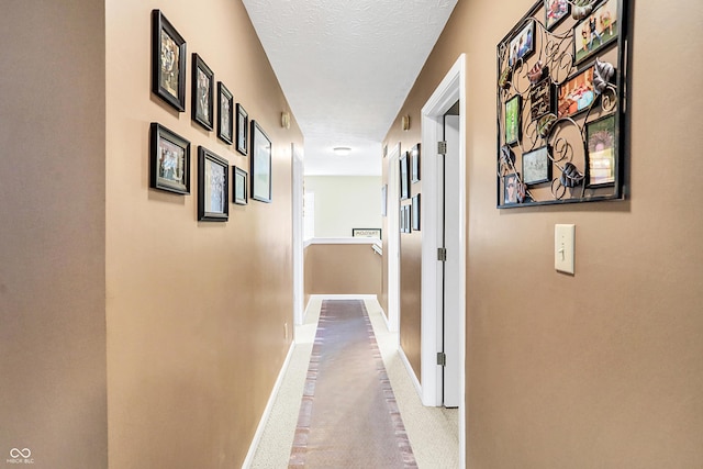 hall featuring carpet flooring and a textured ceiling