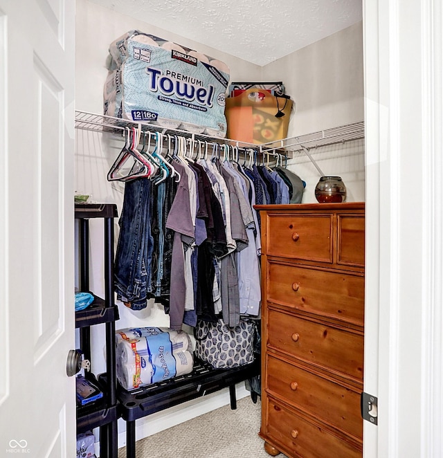 spacious closet with light carpet