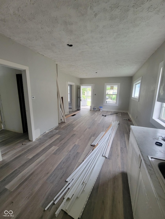 interior space featuring a textured ceiling, hardwood / wood-style flooring, and sink