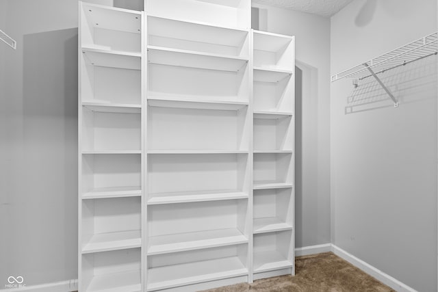 spacious closet featuring carpet flooring