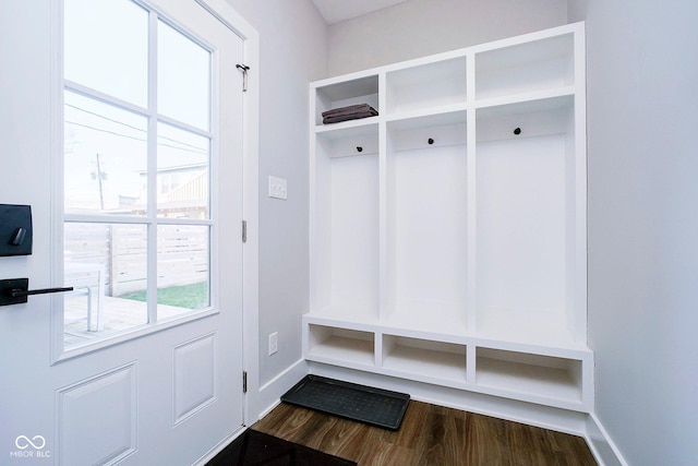 mudroom with dark hardwood / wood-style floors