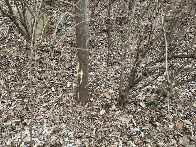 0 N Gray Rd, Mooresville, IN 46158 - photo 37