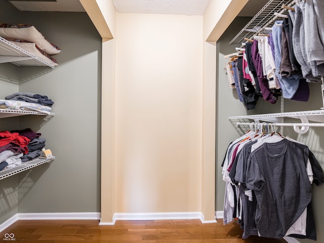 spacious closet featuring wood-type flooring