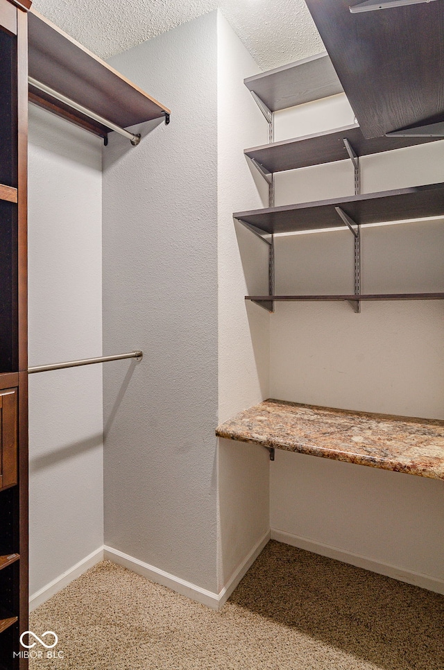 walk in closet with light colored carpet