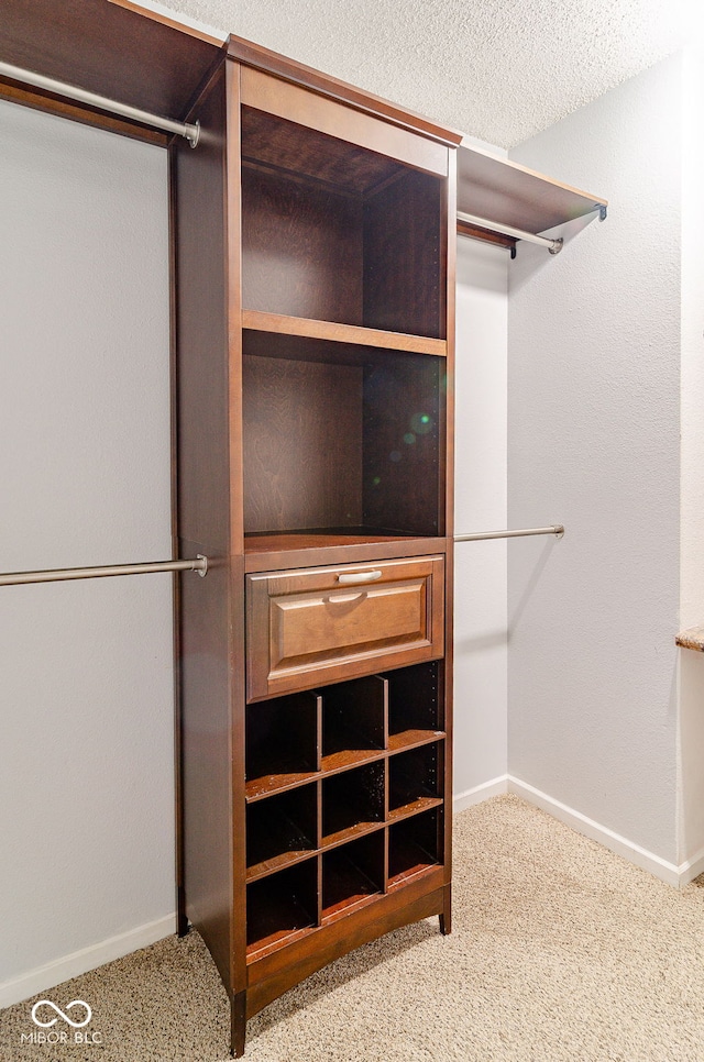 walk in closet with light carpet