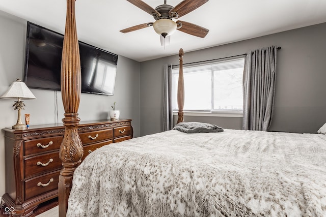 bedroom with ceiling fan and multiple windows