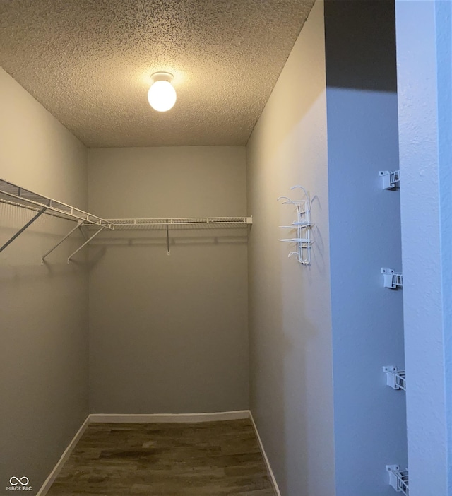 walk in closet with dark hardwood / wood-style floors