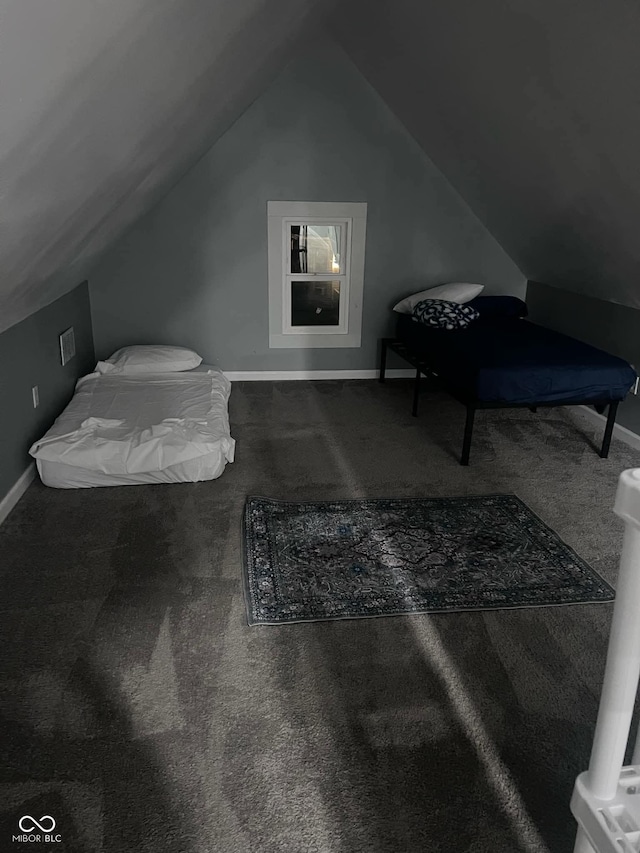 additional living space with carpet and vaulted ceiling