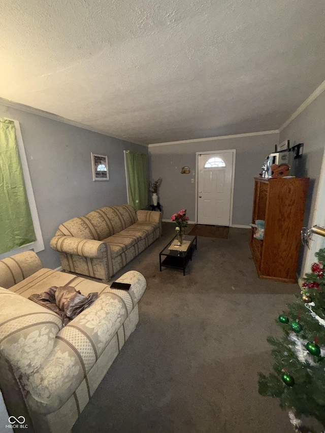 living room with carpet flooring, ornamental molding, and a textured ceiling