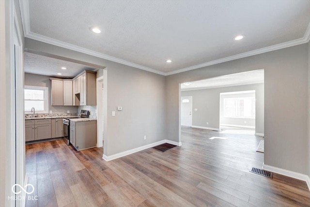 kitchen with gray cabinetry, open floor plan, stainless steel range with electric cooktop, a sink, and wood finished floors