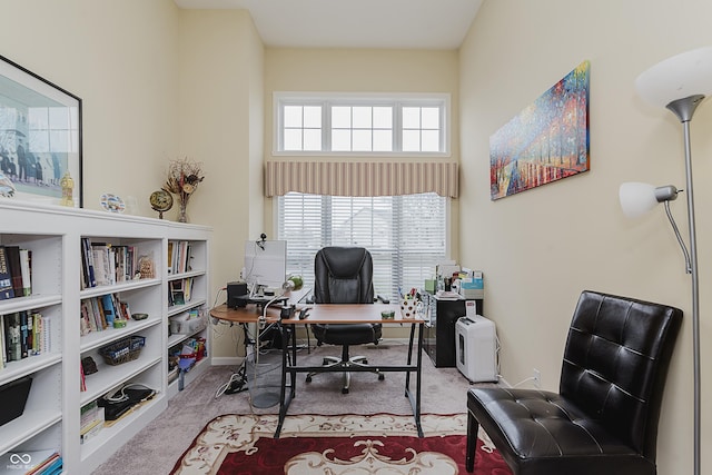 carpeted home office featuring plenty of natural light