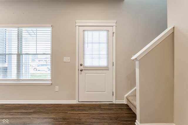 doorway with plenty of natural light and dark wood-type flooring