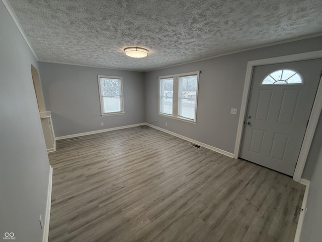 foyer entrance featuring a textured ceiling, light wood-type flooring, and a wealth of natural light