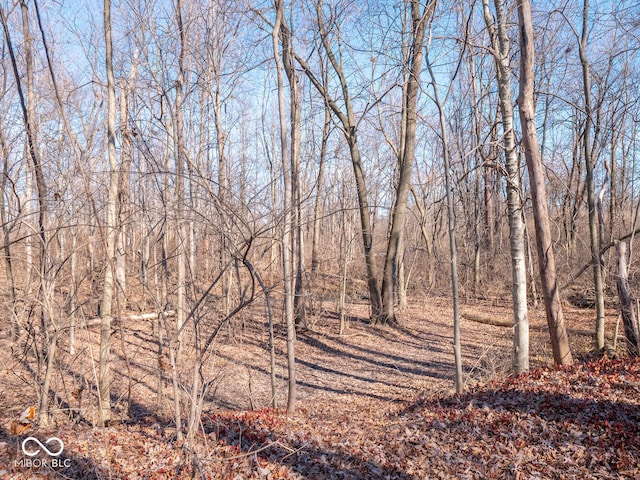 2700 N Franklin Rd, Indianapolis, IN 46219 - photo 31
