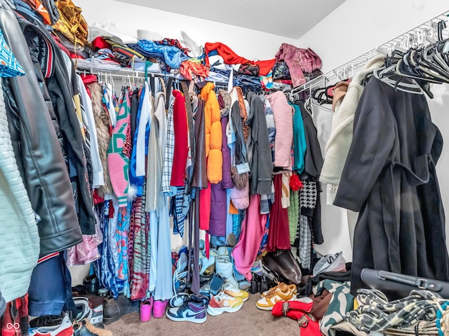 walk in closet with carpet floors