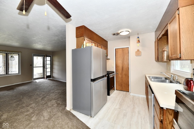 kitchen with plenty of natural light, light colored carpet, sink, and appliances with stainless steel finishes