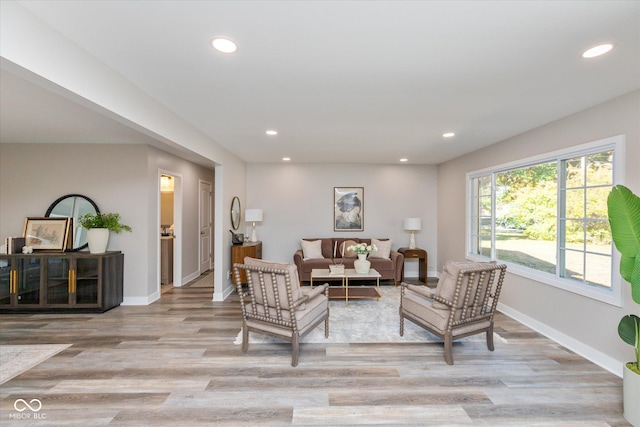 living room featuring light hardwood / wood-style floors