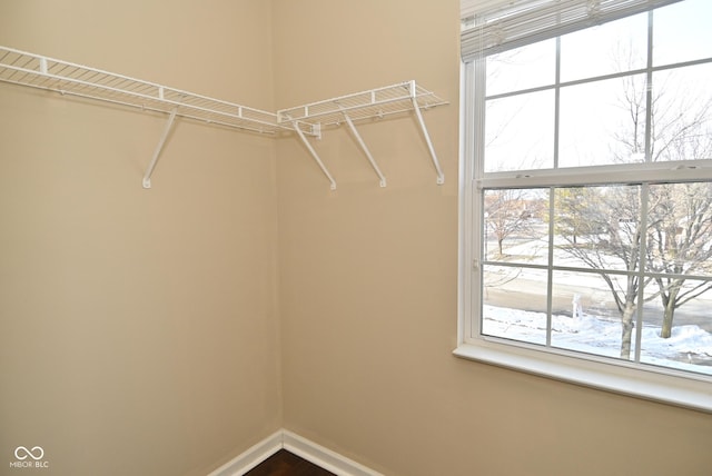 view of walk in closet