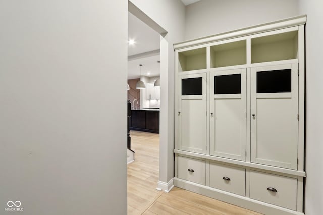 mudroom featuring light wood-type flooring