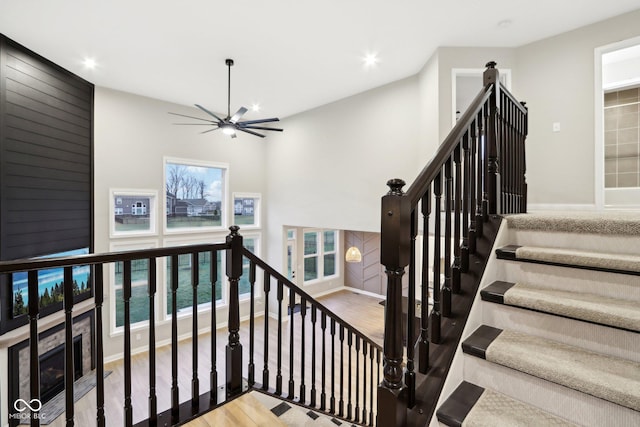 stairway with wood-type flooring