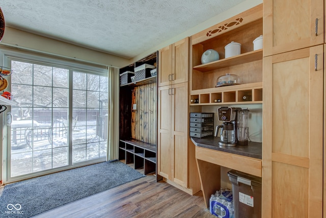 mudroom featuring a textured ceiling and light hardwood / wood-style flooring