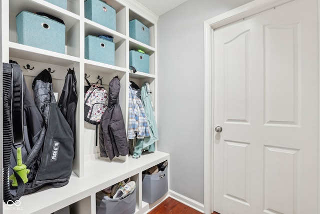 mudroom featuring dark hardwood / wood-style flooring