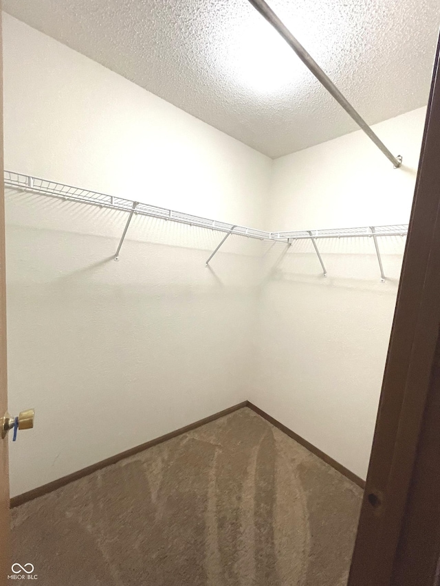 spacious closet with carpet flooring