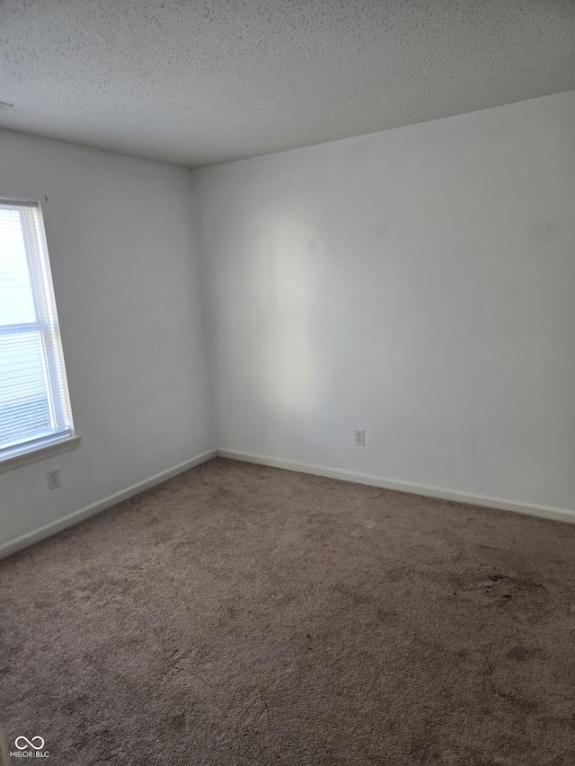 empty room featuring carpet flooring and a textured ceiling