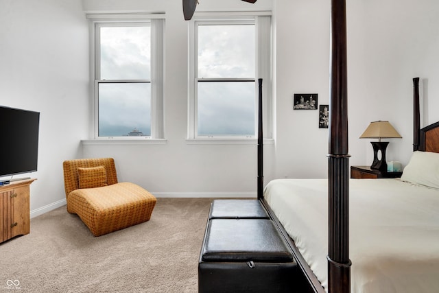 bedroom featuring carpet and multiple windows