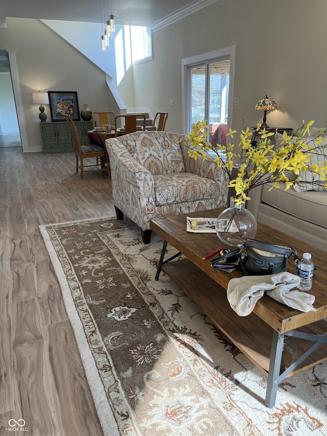 living room with ornamental molding and wood-type flooring