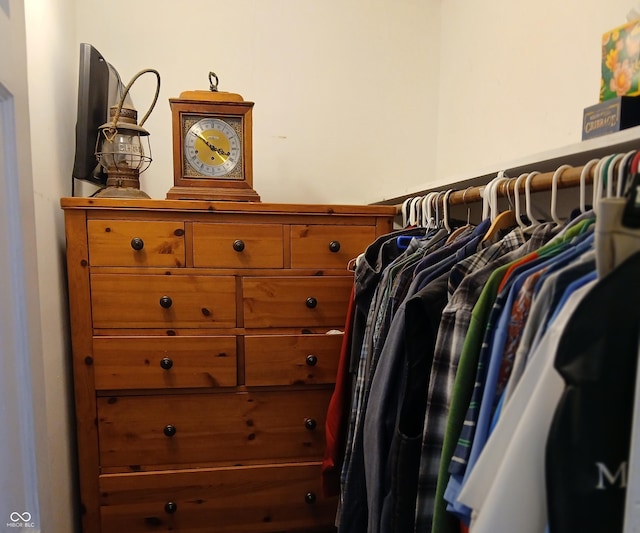 view of spacious closet