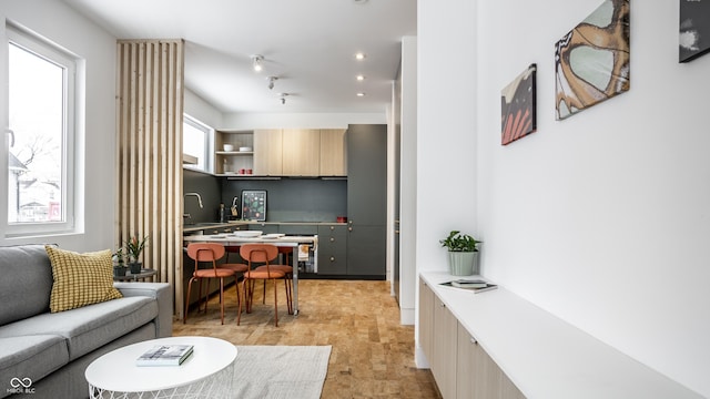 kitchen with light brown cabinetry and a wealth of natural light