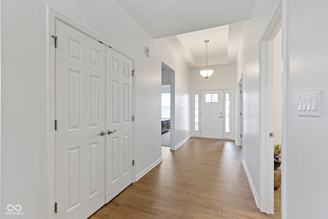 foyer featuring a raised ceiling, wood finished floors, and baseboards