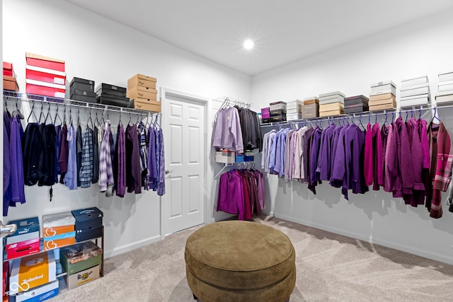 spacious closet featuring carpet floors