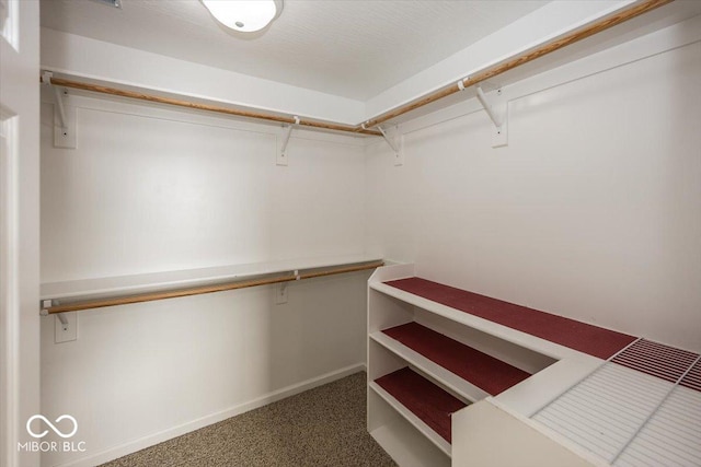 spacious closet with carpet floors