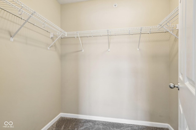 spacious closet with carpet