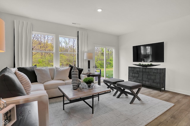 living room with hardwood / wood-style floors