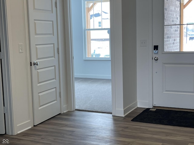 entryway featuring a wealth of natural light and dark hardwood / wood-style flooring