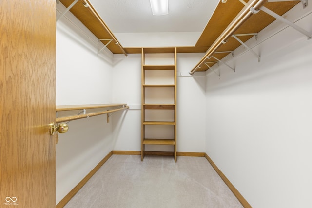 walk in closet with carpet