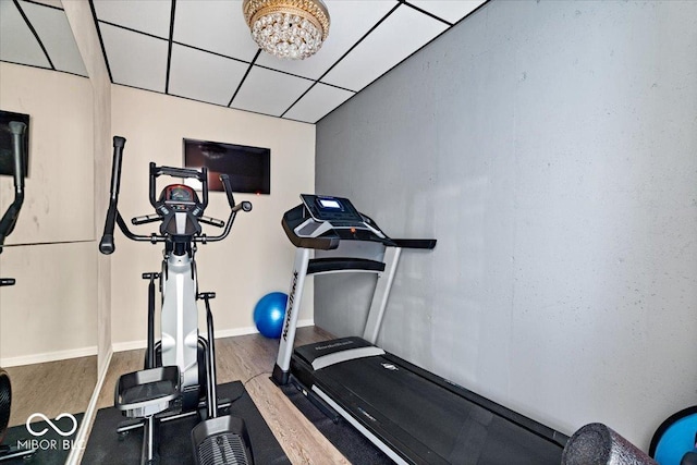 workout area featuring a paneled ceiling and hardwood / wood-style floors