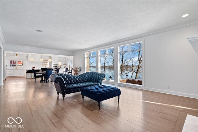 living room with wood-type flooring, a textured ceiling, and ornamental molding