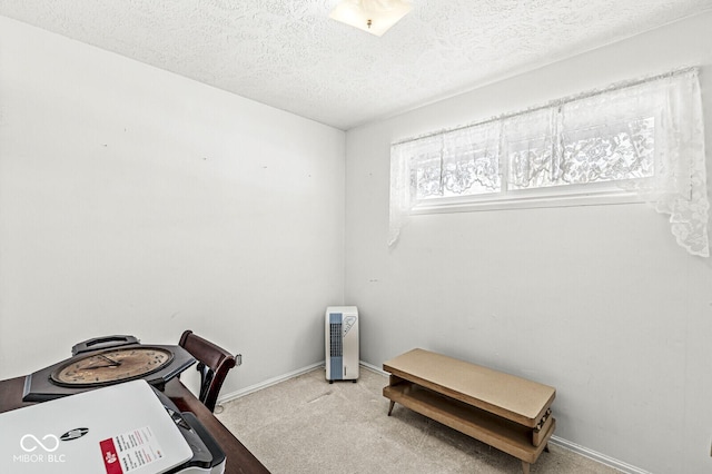 office space with light colored carpet and a textured ceiling