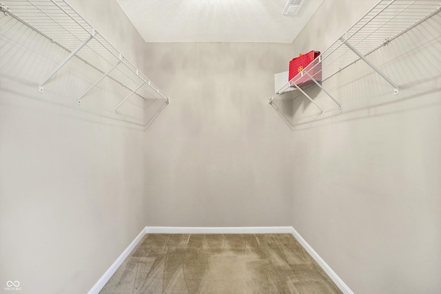 walk in closet featuring carpet flooring