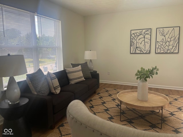 living room with hardwood / wood-style flooring