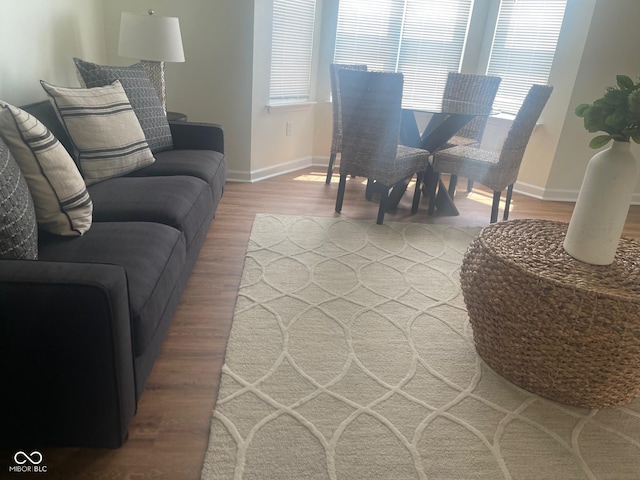 living room with hardwood / wood-style flooring