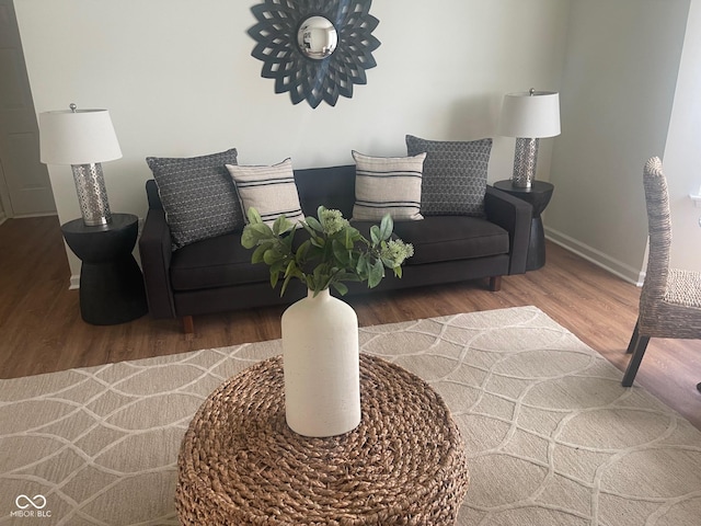 living room with hardwood / wood-style flooring