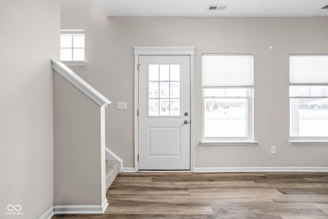 entryway featuring hardwood / wood-style flooring and plenty of natural light