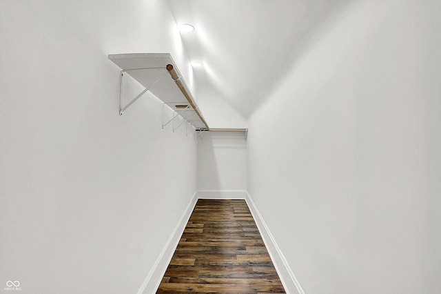 spacious closet with dark wood-type flooring